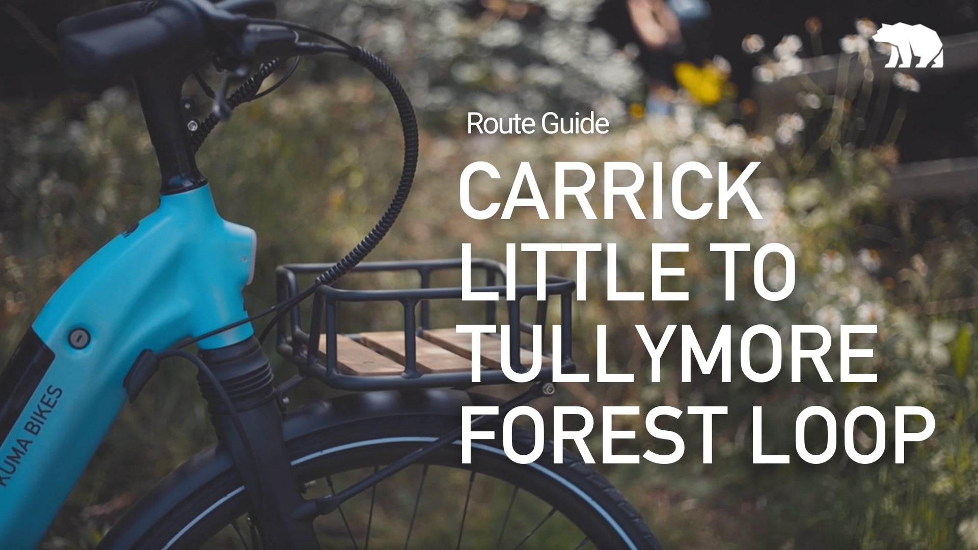 Carrick Little to Tullymore Forest Loop | Route Guide