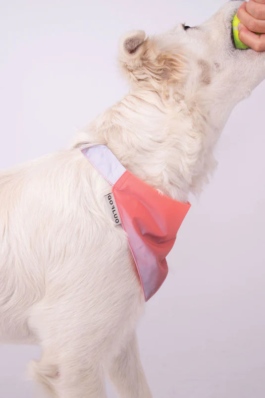 Gofluo Bandana - Kuma Bikes