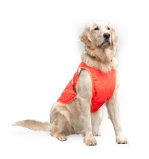 Gofluo Rover - Kuma Bikes