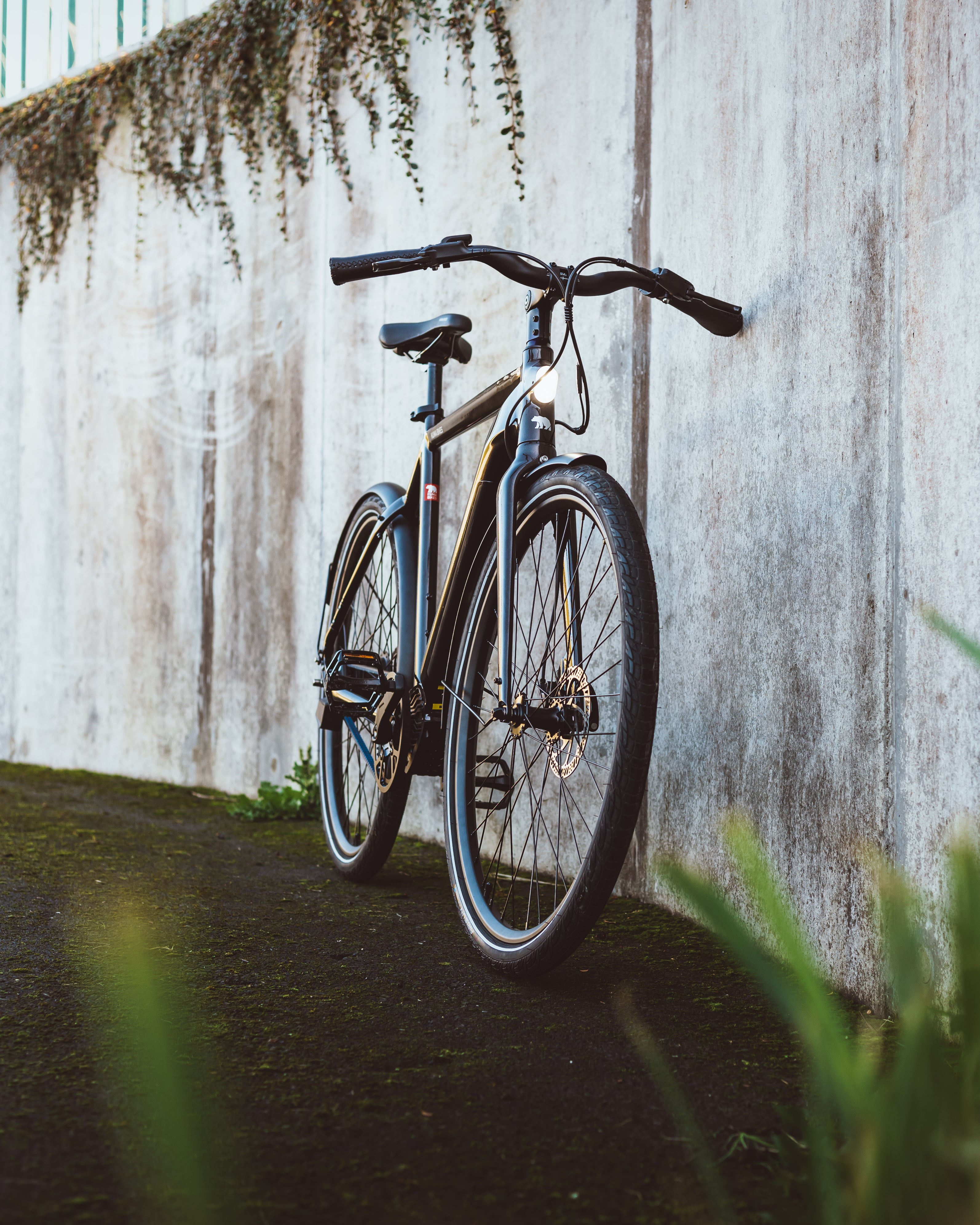 Kuma Bikes X0